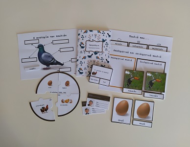 Εκπαιδευτικό υλικό - Υλικό Μοντεσσόρι για τα πουλιά