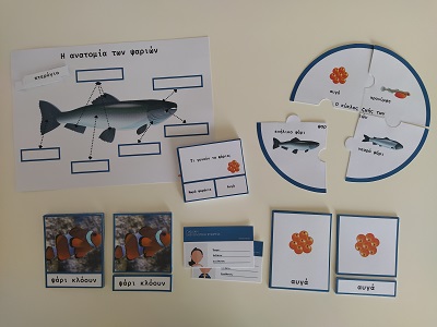 Εκπαιδευτικό υλικό - Υλικό Μοντεσσόρι για τα ψάρια
