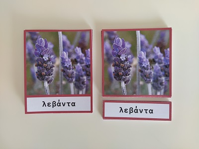 Μοντεσσόρι κάρτες τριών μερών λουλούδια