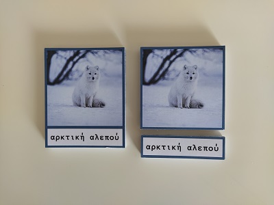 Μοντεσσόρι κάρτες τριών μερών ζώα των πάγων