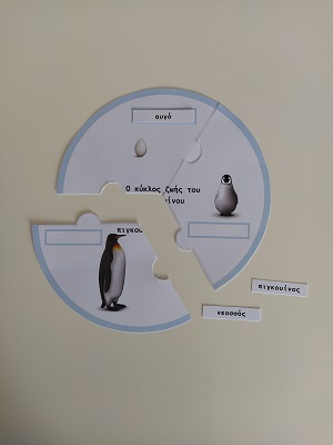 Παζλ κύκλος ζωής του πιγκουίνου
